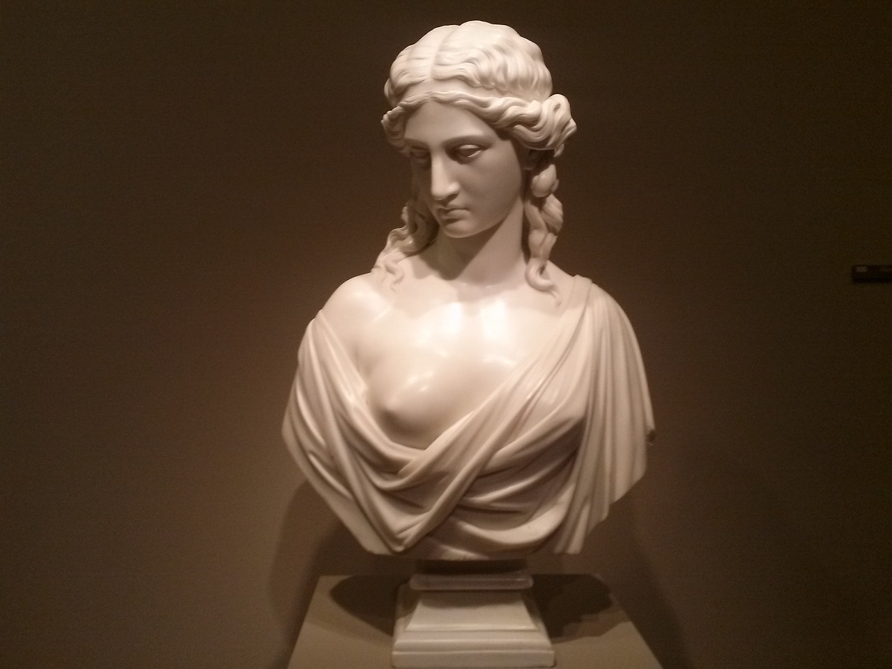 Nelson Suter Art Gallery Reopening